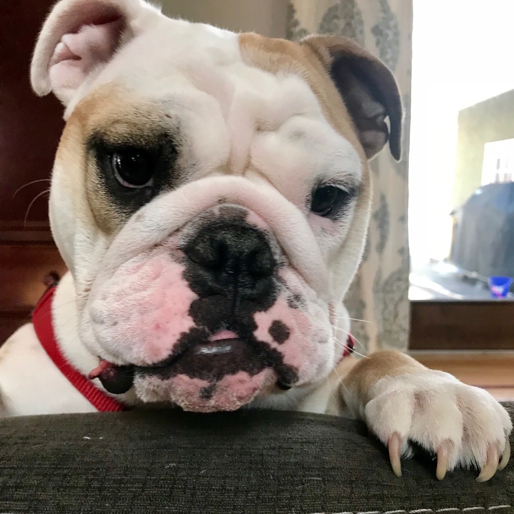 @Bekafab  FOLLOW GAME😻 - Picture 7 of 11